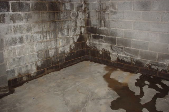 jersey-shore-stucco-damp-basement
