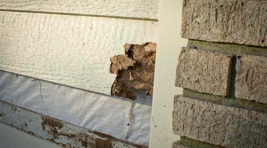 7 Ways to Check for Water Damage in Your Stucco Home