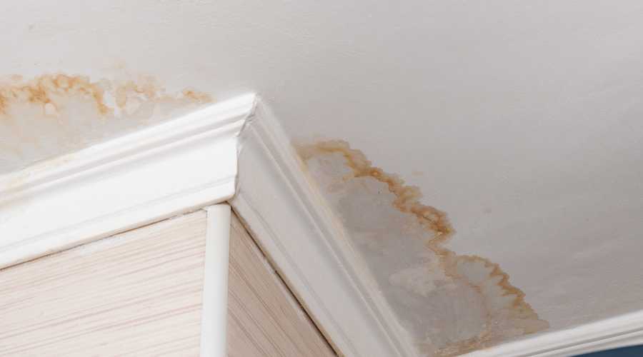 Why You Need to Address Water Damage Quickly