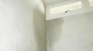 06 - moisture management